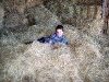100_4781.jpg