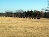 100_4823.jpg