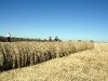 img_9371.jpg