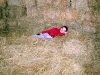 100_4211.jpg