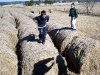 100_4243.jpg