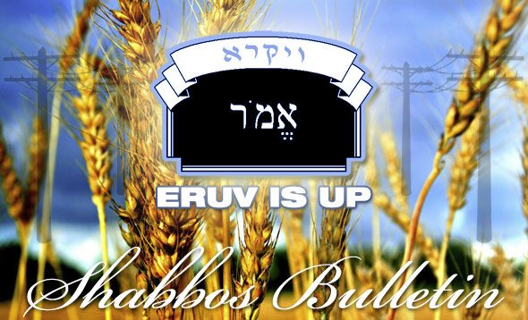 Shabbos_Bulletin_Emor