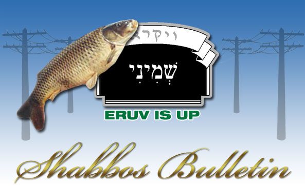 Shabbos_Bulletin_Shemini