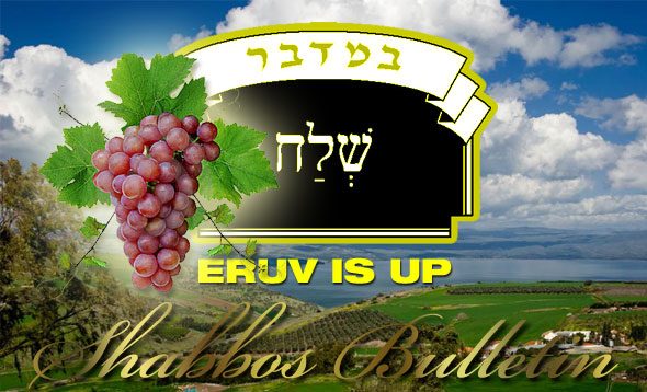 Shabbos_Bulletin_Shelach