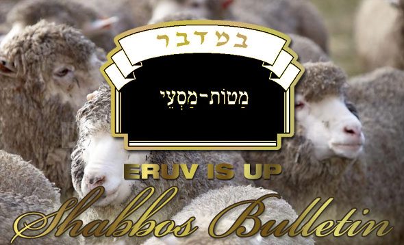 Shabbos_Bulletin_Mattos-Massei