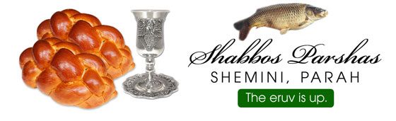 Shabbos_Bulletin_Shemini_Parah