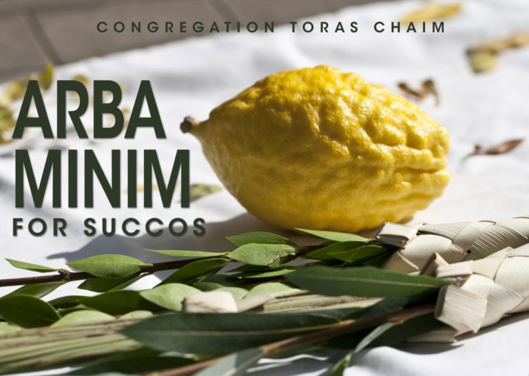 Arba Minim for Succos