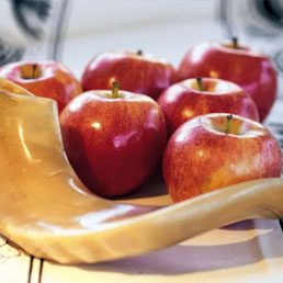 Rosh Hashana Schedule