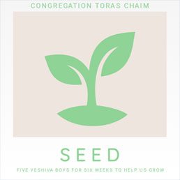 SEED: Five Yeshiva Boys for Six Weeks to Help us Grow