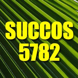 Succos Schedule 5782