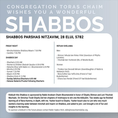 Shabbos, Parshas Nitzavim, 28 Elul 5782