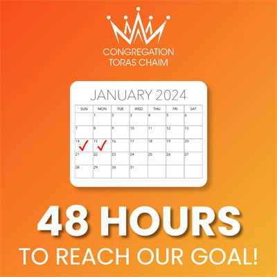 We Are Live! 48 Hours to Reach Our Goal!